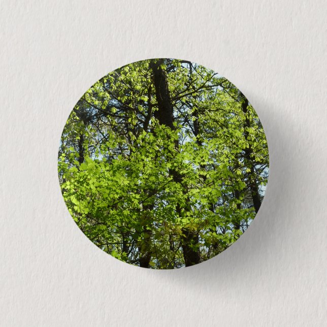 Spring Maple Leaves Nature Button (Front)