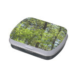 Spring Maple Leaves Nature Candy Tin