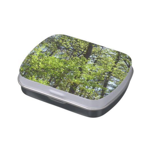 Spring Maple Leaves Nature Candy Tin (Side)