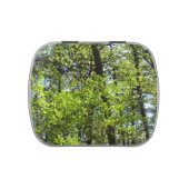 Spring Maple Leaves Nature Candy Tin (Top)