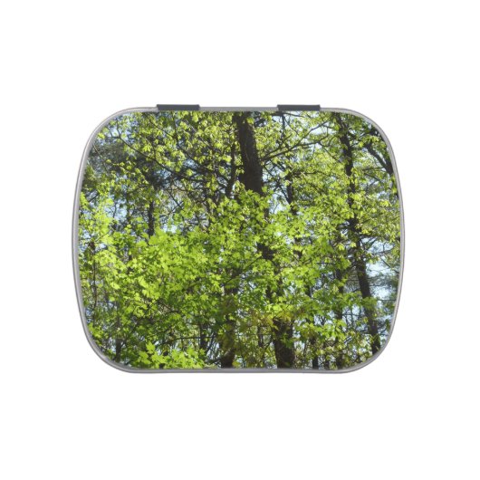 Spring Maple Leaves Nature Candy Tin (Top)