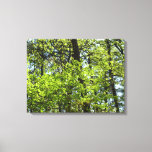 Spring Maple Leaves Nature Canvas Print