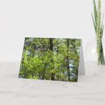 Spring Maple Leaves Nature Card