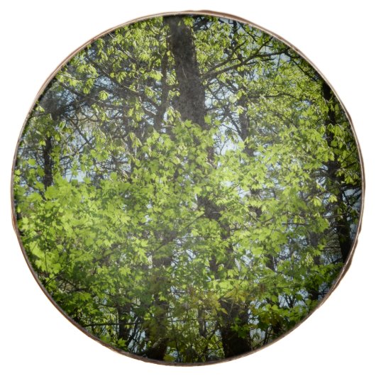 Spring Maple Leaves Nature Chocolate Dipped Oreo (Front)