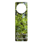 Spring Maple Leaves Nature Door Hanger