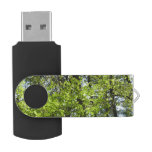 Spring Maple Leaves Nature Flash Drive
