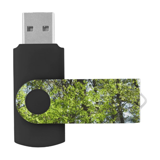 Spring Maple Leaves Nature Flash Drive (Opened)