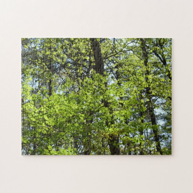 Spring Maple Leaves Nature Jigsaw Puzzle (Horizontal)