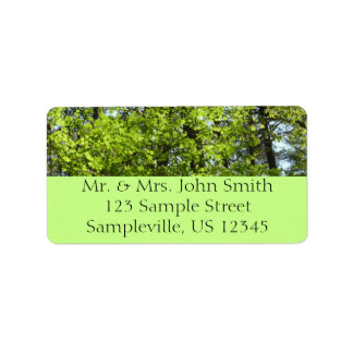 Spring Maple Leaves Nature Label