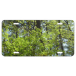Spring Maple Leaves Nature License Plate