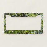 Spring Maple Leaves Nature License Plate Frame