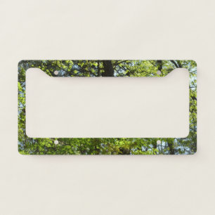 Spring Maple Leaves Nature License Plate Frame