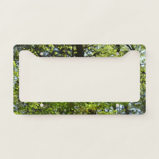 Spring Maple Leaves Nature License Plate Frame (Front)