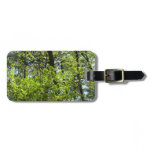 Spring Maple Leaves Nature Luggage Tag