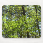 Spring Maple Leaves Nature Mouse Pad