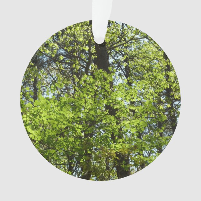 Spring Maple Leaves Nature Ornament (Front)