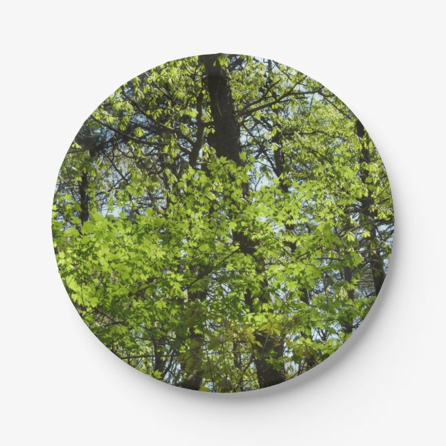 Spring Maple Leaves Nature Paper Plates (Front)