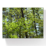 Spring Maple Leaves Nature Paperweight