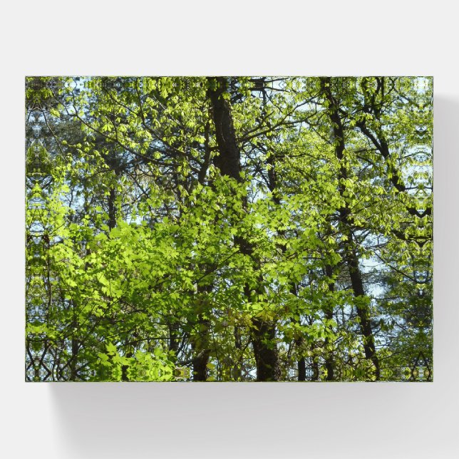 Spring Maple Leaves Nature Paperweight (Front)