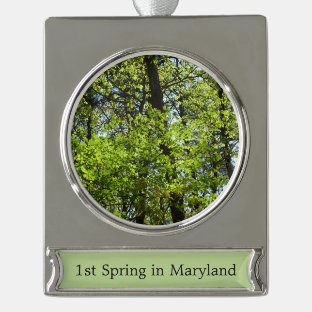 Spring Maple Leaves Nature Silver Plated Banner Ornament (Front)