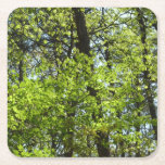Spring Maple Leaves Nature Square Paper Coaster
