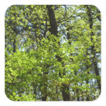Spring Maple Leaves Nature Square Sticker