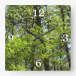 Spring Maple Leaves Nature Square Wall Clock