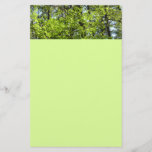 Spring Maple Leaves Nature Stationery
