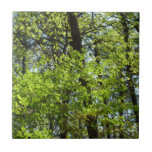 Spring Maple Leaves Nature Tile