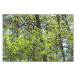Spring Maple Leaves Nature Tissue Paper