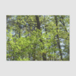 Spring Maple Leaves Nature Tissue Paper