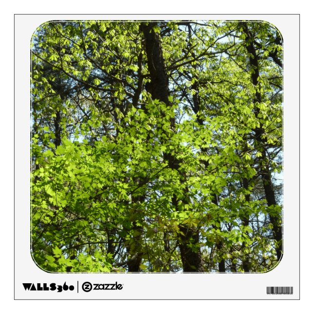 Spring Maple Leaves Nature Wall Decal (Front)