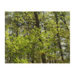 Spring Maple Leaves Nature Wood Wall Art