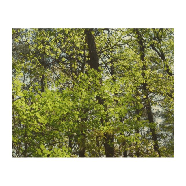 Spring Maple Leaves Nature Wood Wall Art (Front)