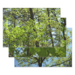 Spring Maple Leaves Nature Wrapping Paper Sheets