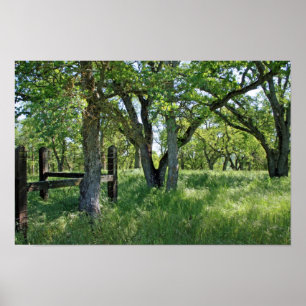 "Spring Meadow" Poster