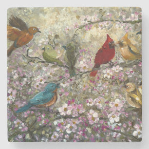 Spring Meet: Colorful Songbirds Bird Lovers Gifts Stone Coaster