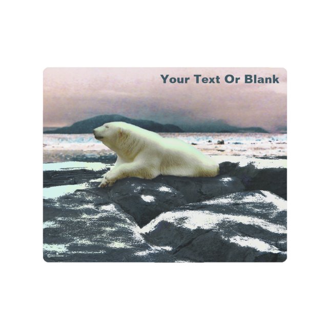 Spring Melt Polar Bear  Metal Print (Front)
