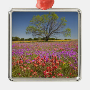 Spring mesquite trees growing in wildflowers, metal ornament