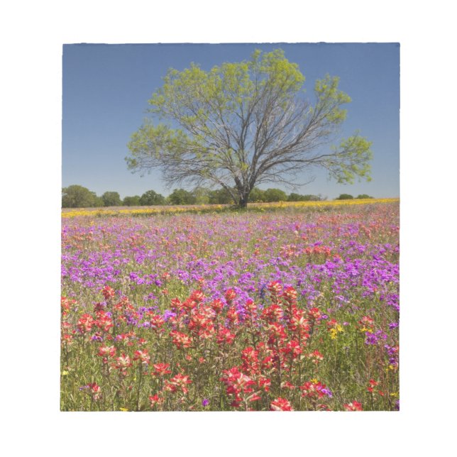 Spring mesquite trees growing in wildflowers, notepad (Front)
