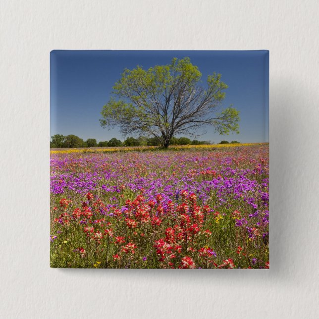 Spring mesquite trees growing in wildflowers, pinback button (Front)