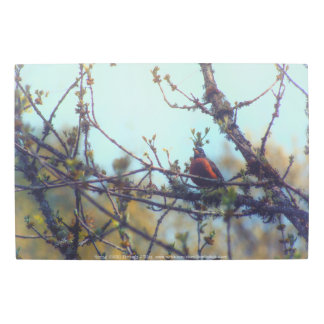 Spring Metal Print