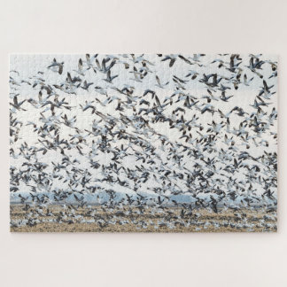 Spring Migration Puzzle