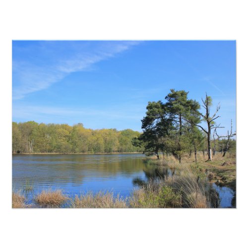 Spring mood in the countryside at the lake photo print