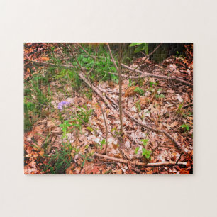 Spring Morel Hunting Jigsaw Puzzle