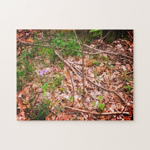 Spring Morel Hunting Jigsaw Puzzle