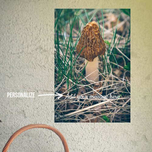 Spring Morel Mushroom Poster