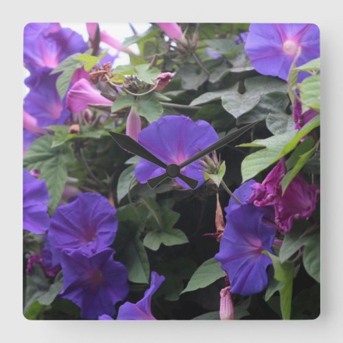 Spring Morning Glories in Blue Square Wall Clock