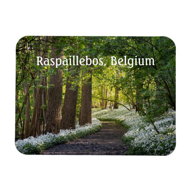 Spring Morning in Raspaillebos, Belgium Magnet (Horizontal)