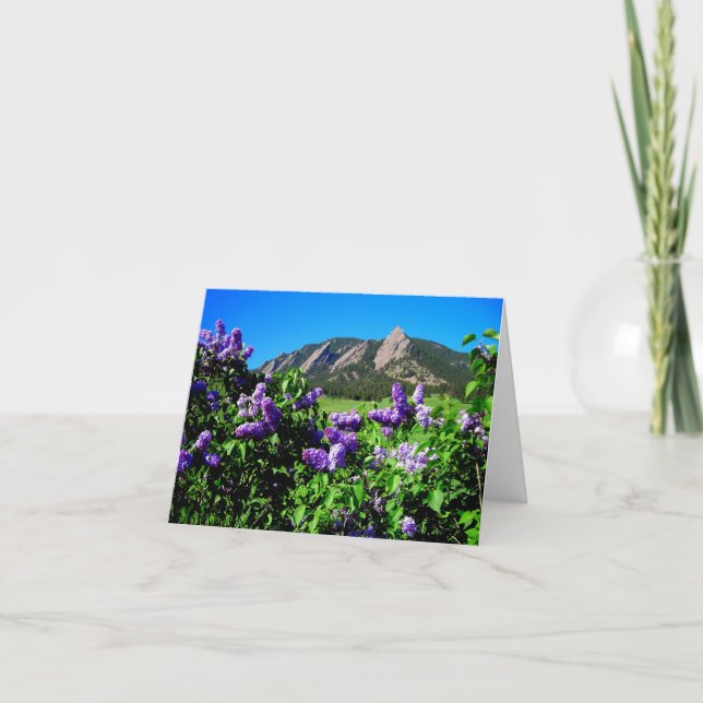 Spring Mountain Flowers Note Card (Front)